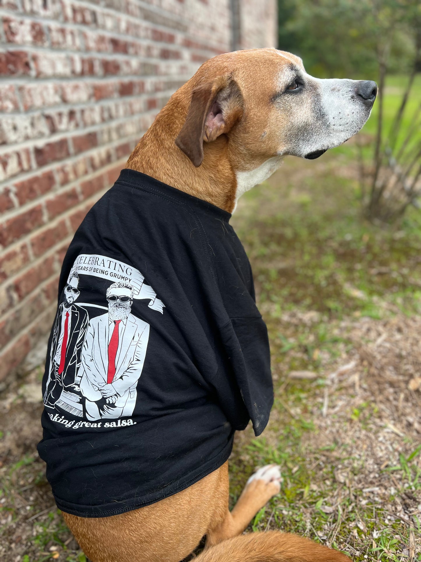 10 Year Anniversary Shirt